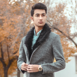 hamzehazizzadeh