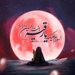amirhosseinjokari