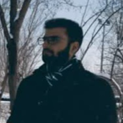 محمدمهدی زارعی