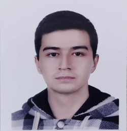 امیر مهدی گودرزی