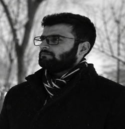 محمدمهدی زارعی